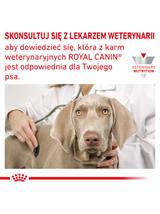 ROYAL CANIN Hypoallergenic Small Dog HSD24 3,5kg