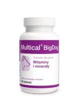 Dolvit Multical BigDog 2x90 tabletek