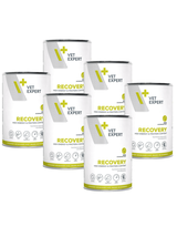 VETEXPERT Dog Diet Recovery 6x400g