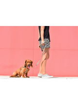 ZEE DOG Smycz dla psa Phantom L