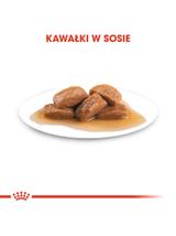 ROYAL CANIN Maxi Adult 10x140g karma mokra w sosie dla psów dorosłych ras dużych