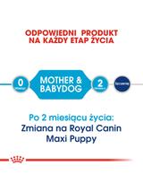 ROYAL CANIN Maxi Starter Mother&Babydog 15kg + niespodzianka dla psa GRATIS!