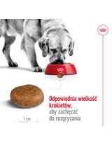 ROYAL CANIN Maxi Adult 5+ 15kg karma sucha dla psów starszych, od 5 do 8 roku życia, ras dużych / Opakowanie uszkodzone (8768,8995)!!!
