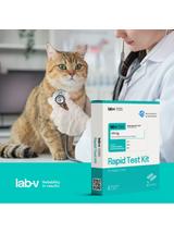 Lab-v Antygen Wirusa Panleukopenii (FPV) – Szybki test diagnostyczny dla kotów 2 szt.-Data ważności  14.11.2025