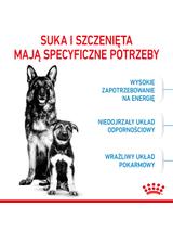 ROYAL CANIN Maxi Starter Mother&Babydog 15kg karma sucha dla suk w ciąży i okresie laktacji oraz szczeniąt, od 4 do 8 tygodnia życia, ras dużych