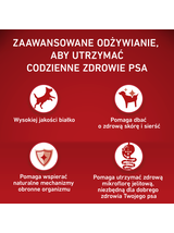 PURINA ONE Adult Medium/Maxi Karma dla dorosłych psów bogata w jagnięcinę z ryżem 2,5 kg