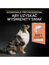 PRO PLAN Sensitive Skin Medium & Large Adult Karma dla psów bogata w łososia 14kg