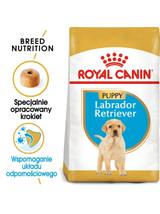 ROYAL CANIN Labrador Retriever Puppy 12kg + niespodzianka dla psa GRATIS!