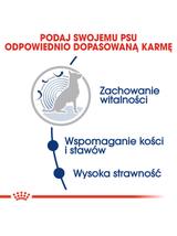 ROYAL CANIN Maxi Ageing 15kg karma sucha dla psów dojrzałych, po 8 roku życia, ras dużych / Opakowanie uszkodzone (5157,5386,6537,8931) !!!