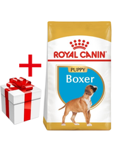ROYAL CANIN Boxer Puppy 12kg + niespodzianka dla psa GRATIS!