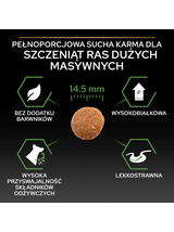 PRO PLAN Healthy Start Large Robust Puppy Karma dla szczeniąt bogata w kurczaka 12kg