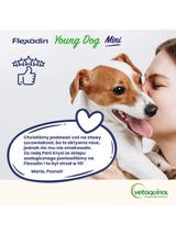 VETOQUINOL Flexadin Young Dog Mini 60 kąsków