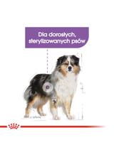 ROYAL CANIN CCN Medium Sterilised 12kg karma sucha dla psów dorosłych, ras średnich, sterylizowanych