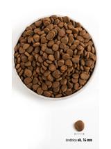 ORIJEN Six Fish Dog 11,4kg + niespodzianka dla psa GRATIS!