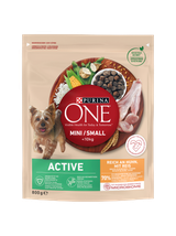 PURINA ONE Mini Active Kurczak, ryż - sucha karma dla psa - 800g