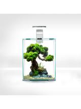 AQUAEL Zestaw Aquael Shrimp Set Smart Day & Night [10l] - biały