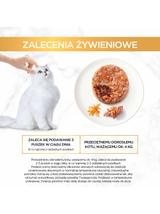 Purina Gourmet Gold Savoury Cake z kurczakiem i marchewką 72x85g