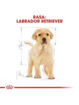 ROYAL CANIN Labrador Retriever Puppy 12kg karma sucha dla szczeniąt do 15 miesiąca, rasy labrador retriever/Opakowanie uszkodzone (5560,5478,7361)