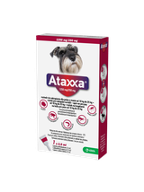 KRKA Ataxxa 1250 mg/250 mg roztwór do nakrapiania dla psów o masie od 10 kg do 25 kg