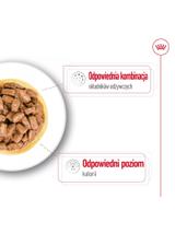 ROYAL CANIN Mini Ageing 12+ 12x85g  karma mokra w sosie dla psów dojrzałych po 12 roku życia, ras małych
