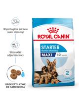 ROYAL CANIN Maxi Starter Mother&Babydog 15kg karma sucha dla suk w ciąży i okresie laktacji oraz szczeniąt, od 4 do 8 tygodnia życia, ras dużych