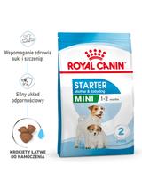 ROYAL CANIN Mini Starter Mother & Babydog 1kg karma sucha dla suk w ciąży i okresie laktacji oraz szczeniąt, od 4 do 8 tygodnia, ras małych  + niespodzianka dla psa GRATIS!