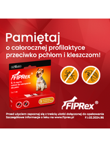 Fiprex S, 75 mg/ml, roztwór do nakrapiania dla psów (2szt)