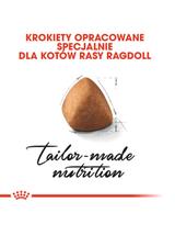 ROYAL CANIN Ragdoll Adult 10kg karma sucha dla kotów dorosłych rasy ragdoll
