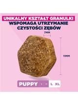 EUKANUBA Puppy&Junior Large Breed 15kg