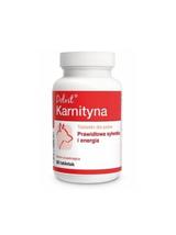 Dolvit Karnityna 90 tabletek