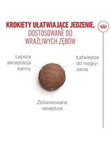 ROYAL CANIN Ageing  15+ 4kg karma sucha dla kotów dojrzałych po 15 roku życia