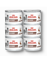 ROYAL CANIN Recovery 6x195g puszka