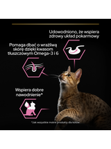 PRO PLAN Delicate Digestion Mokra karma dla kotów z indykiem w sosie 10x85g