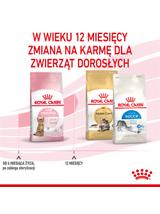 ROYAL CANIN  Kitten Sterilised 400g karma sucha dla kociąt od 6 do 12 miesiąca życia, sterylizowanych