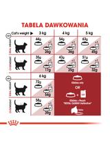 ROYAL CANIN  FIT 32 10kg karma sucha dla kotów dorosłych, wspierająca idealną kondycję + niespodzianka dla kota GRATIS!