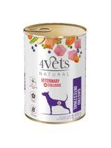 4Vets dla psów Gastro Intestinal 400g