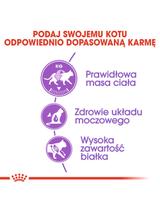 ROYAL CANIN  Sterilised 10kg karma sucha dla kotów dorosłych, sterylizowanych + Piłka dla kota GRATIS!