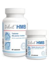 Dolvit HMB 90 tabletek