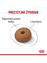 ROYAL CANIN CCN Maxi Light Weight Care 12kg karma sucha dla psów dorosłych, ras dużych z tendencją do nadwagi / Opakowanie uszkodzone (7701) !!!