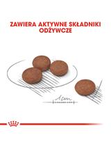 ROYAL CANIN CCN Mini Digestive Care 1kg karma sucha dla psów dorosłych, ras  małych o wrażliwym przewodzie pokarmowym