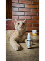 Lab-v ADE Complex – Kompleks witamin A, D i E w formie spreju dla psów i kotów 2 x 10ml