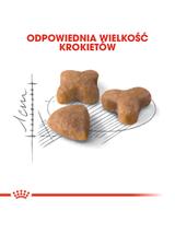 ROYAL CANIN  Sensible 33 10kg karma sucha dla kotów dorosłych, o wrażliwym przewodzie pokarmowym + niespodzianka dla kota GRATIS!