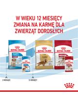 ROYAL CANIN Medium Puppy 10x140g karma mokra w sosie dla szczeniąt do 12 miesiąca, ras średnich