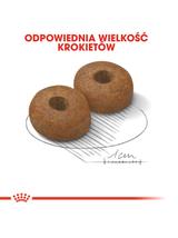 ROYAL CANIN Maxi Ageing 15kg karma sucha dla psów dojrzałych, po 8 roku życia, ras dużych / Opakowanie uszkodzone (5157,5386,6537,8931) !!!