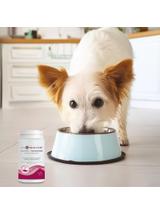 VET PROTECTOR® GASTRO – TRAWIENIE – wsparcie trawienia u psów i kotów 150 g