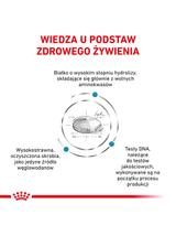 ROYAL CANIN Anallergenic Cat 2kg + piłka dla kota GRATIS!!