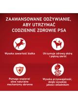 PURINA ONE Adult Mini/Small Karma dla dorosłych psów bogata w wołowinę z ryżem 3 kg/ opakowanie uszkodzone (7138)!!