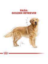 ROYAL CANIN Golden Retriever Adult 10,8kg karma sucha dla psów dorosłych rasy golden retriever/ Opakowanie uszkodzone (7578) !!!