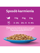 WHISKAS mokra karma dla kota rybne smaki w galaretce 160x85g