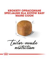ROYAL CANIN Maine Coon Kitten 10kg karma sucha dla kociąt, do 15 miesiąca, rasy maine coon